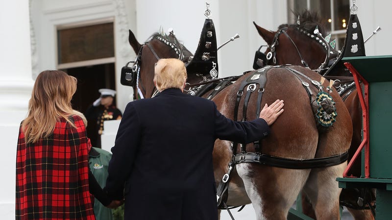 Image result for trump patting horses rump