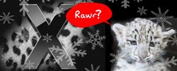 Illustration for article titled Confirmed: Mac OS 10.6 Is Snow Leopard