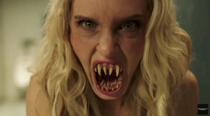 Midnight texas tiger king Midnight texas tiger king