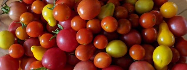 5 Ways to Use Up Your End-of-Season Cherry Tomatoes