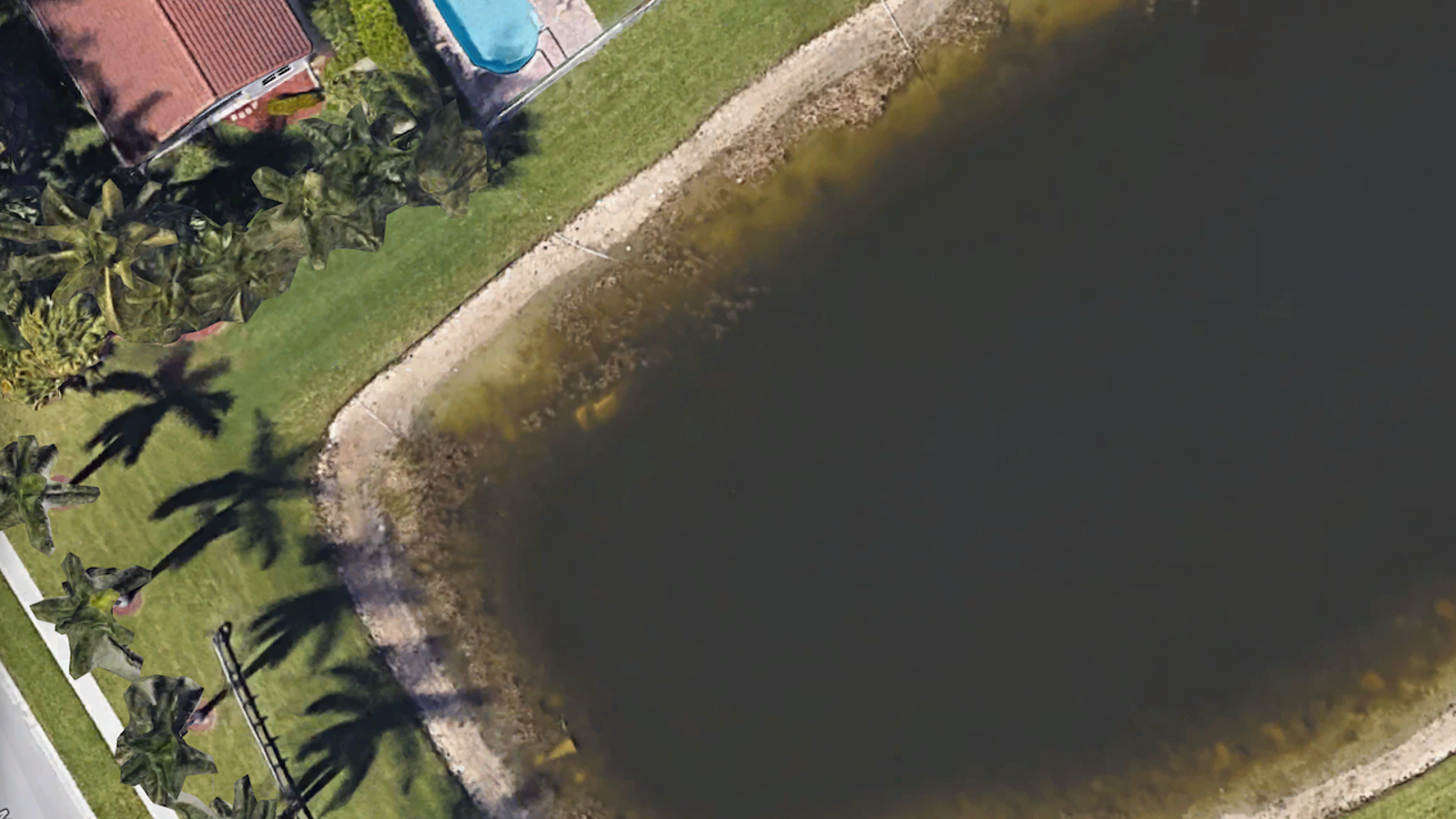 Body of Man Who Went Missing in 1997 Discovered in Pond on Google Maps