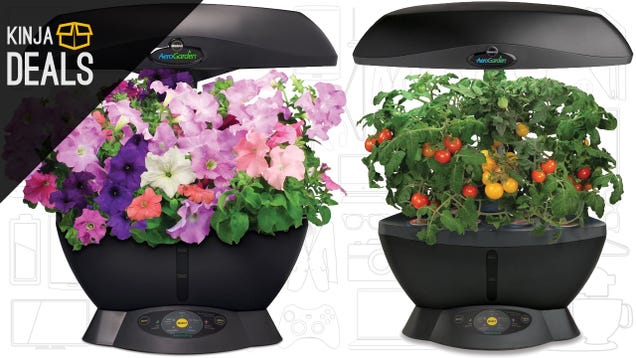 photo of Grow Herbs and Vegetables in Any Apartment With Miracle Gro's Aerogarden image