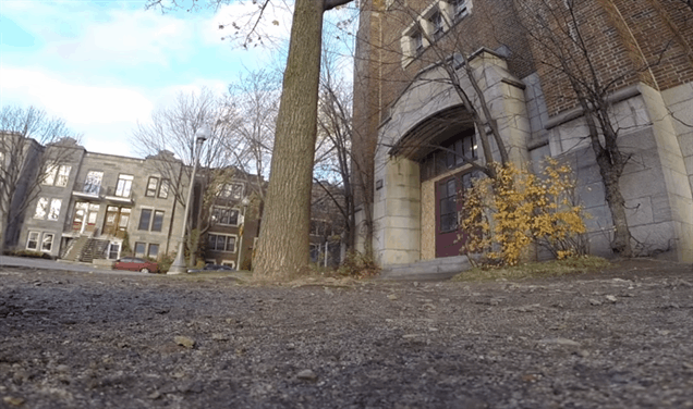 Squirrel Steals Man's GoPro, Because Squirrels Are Jerks