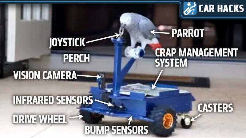 Illustration for article titled This Man Built A Robotic Car To Quiet His Annoying Parrot