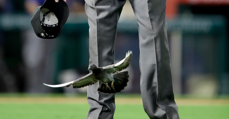 Photo Credit: Chris Carlson/AP