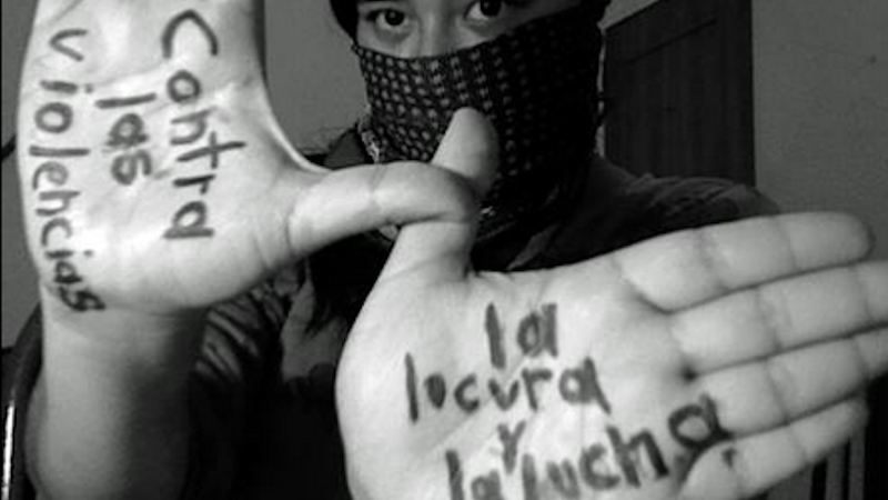 Illustration for article titled 'Lesboterrorist' Raps Instructions On How to Give Yourself an Abortion