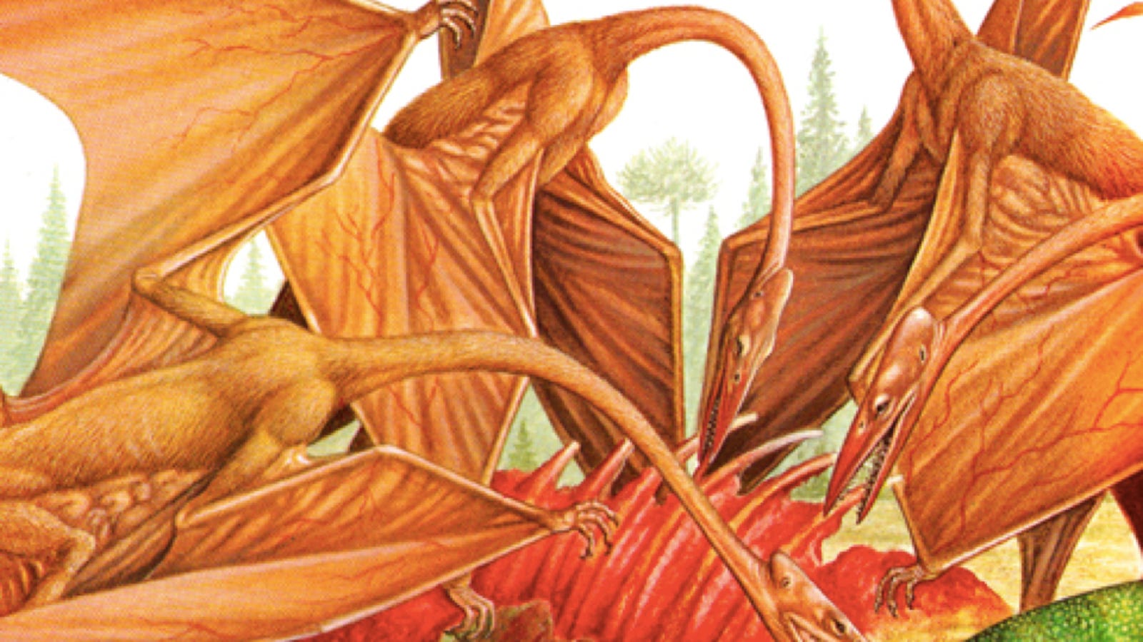 This is one of the scariest (and wrongest) pterosaur pictures ever