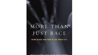 Illustration for article titled Why 'More Than Just Race' Matters