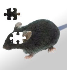 Illustration for article titled Computer Assisted Memory: Brilliant or Horrific?