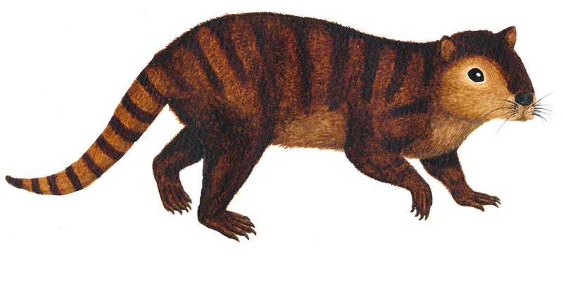 Illustration for article titled The āPrehistoric Beaverā That Helped Mammals Inherit Earth