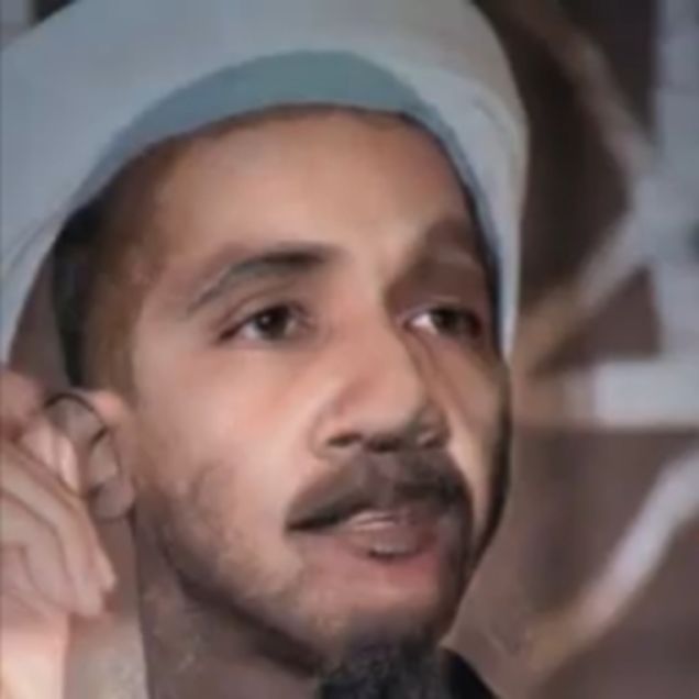 Illustration for article titled Evolving Images of Obama and Osama