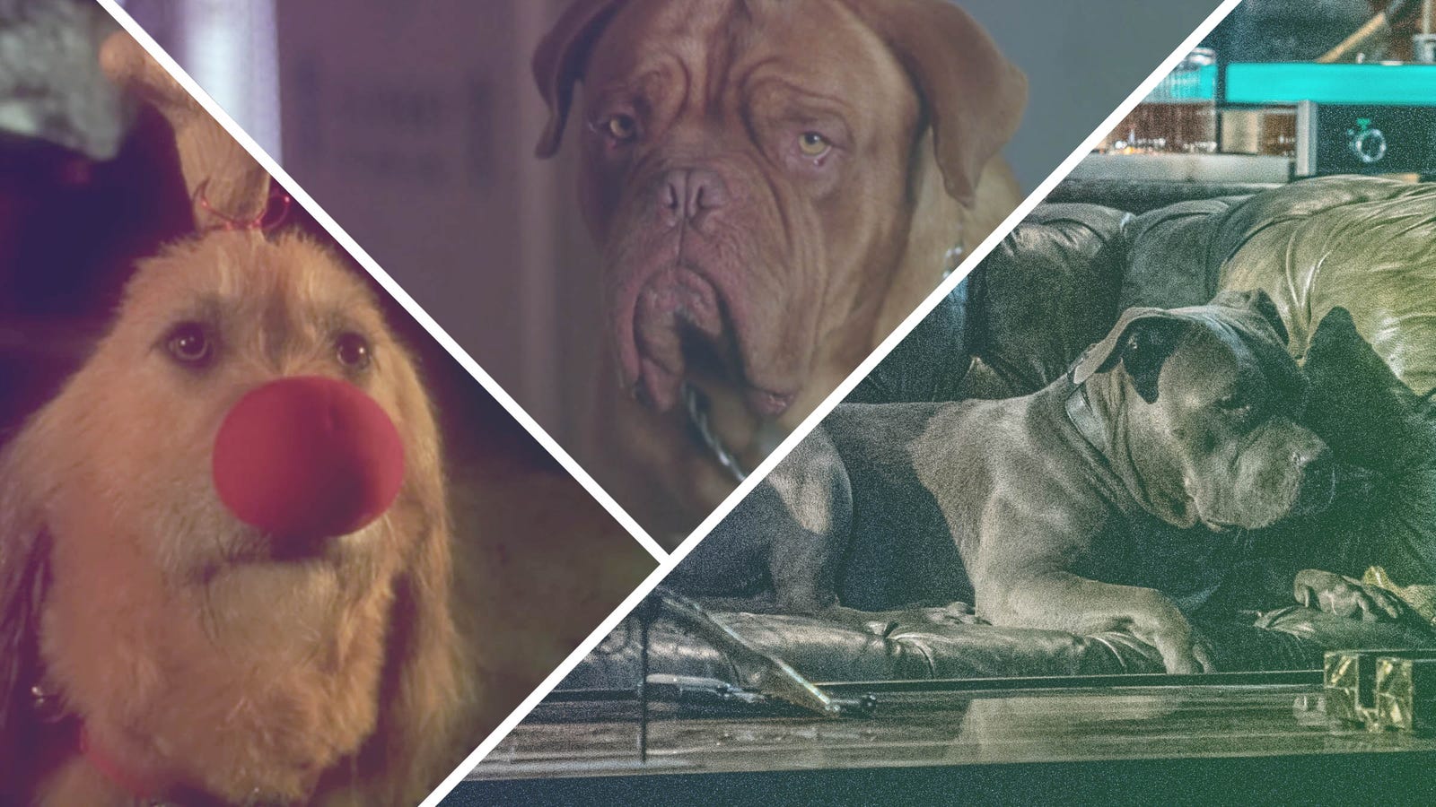 Simply The Beast 18 Of The Greatest Dog Sidekicks In Pop