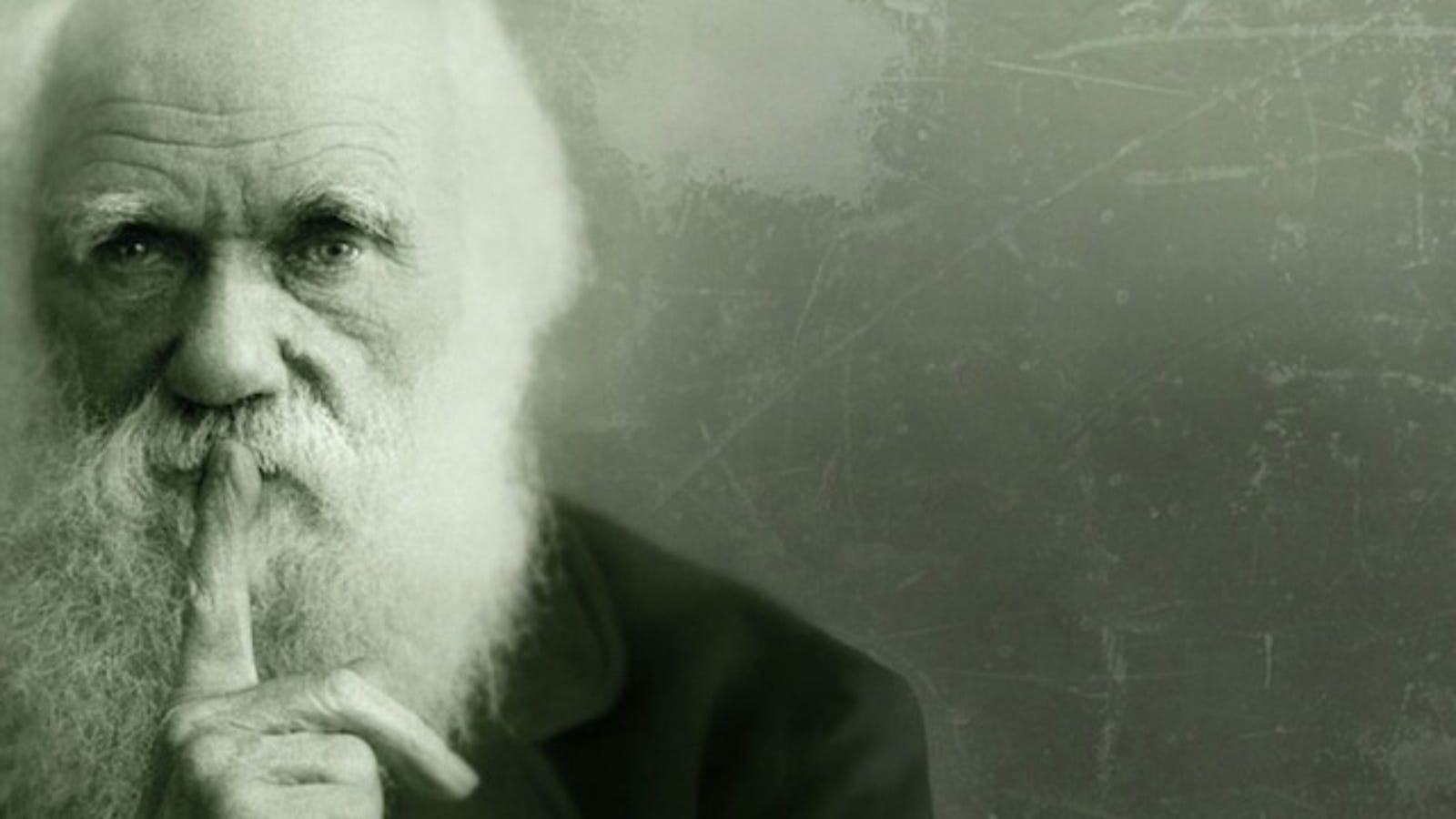 Hundreds of Charles Darwin's previously unpublished letters to be