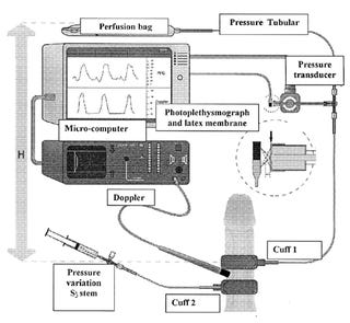 Seven (Mostly) Scientific Devices for Measuring Sexual Arousal