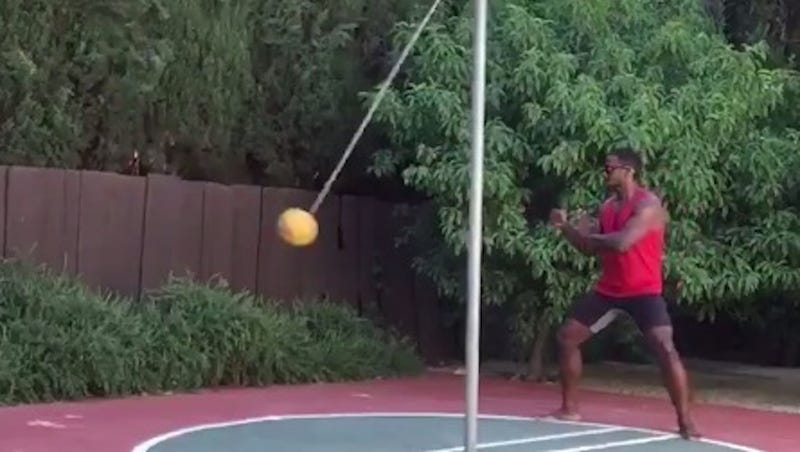 Illustration for article titled This Video Of Rashard Mendenhall Doing Karate On A Tether Ball Is Actually Good