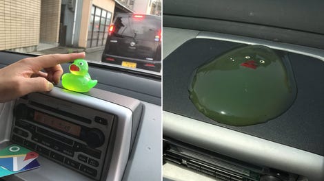 dash duck for car