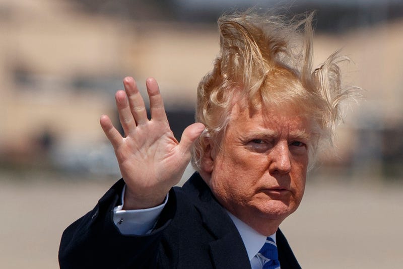 Image result for trump wig