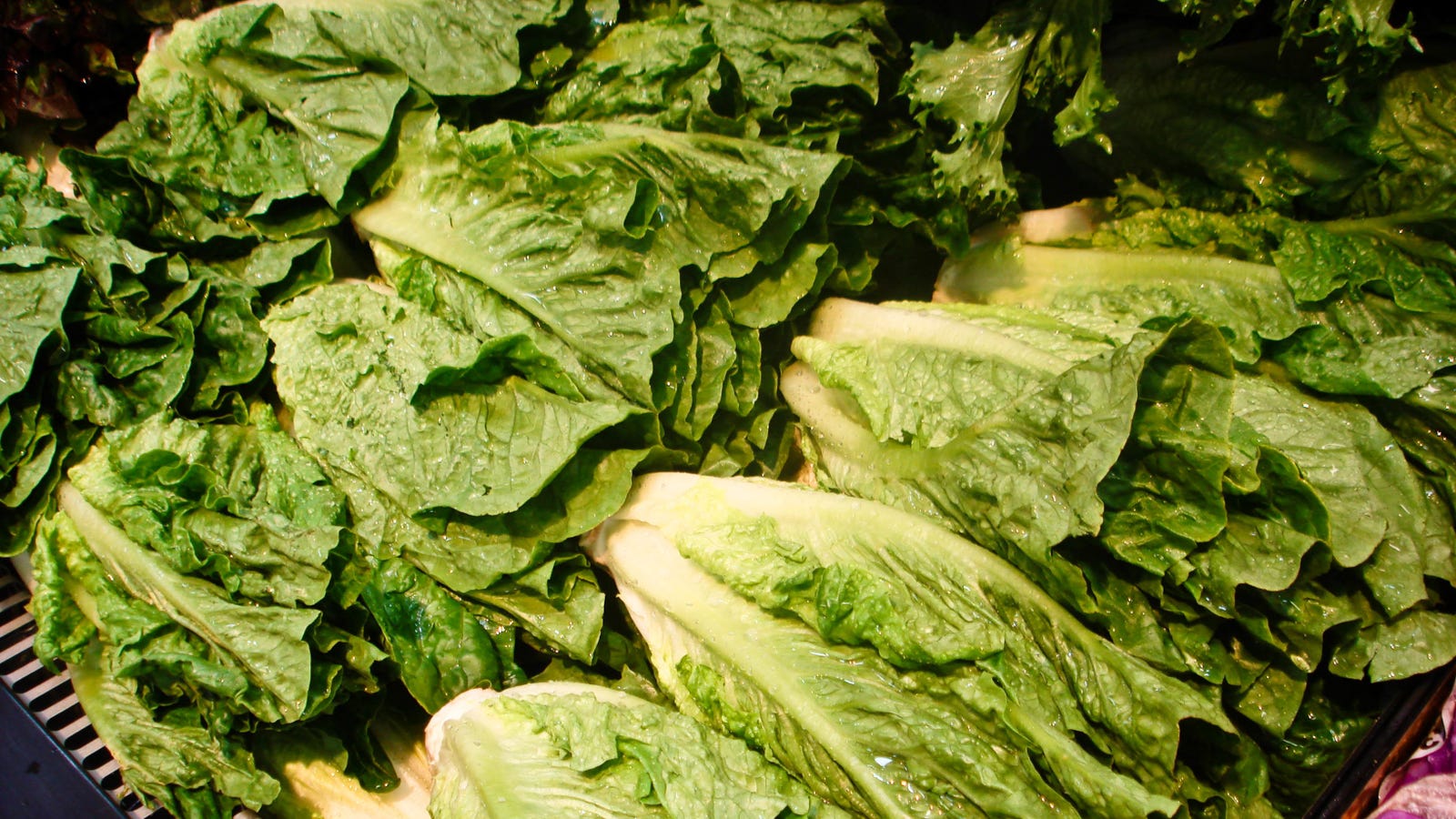 When Will Romaine Lettuce Be Safe to Eat?