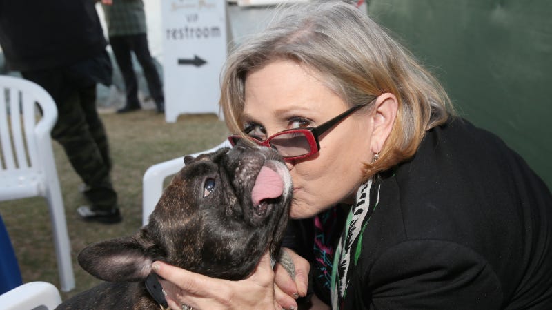 Dramatic story of Carrie Fisher's revenge on Hollywood sex pest Dramatic story of Carrie Fisher's revenge on Hollywood sex pest
