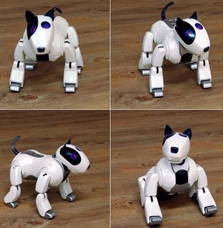 Illustration for article titled Genibo: Aibo Knockoff Coming