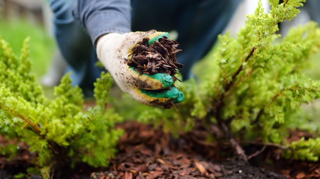 How to Stop Your Mulch From Blowing Away