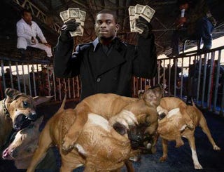 Michael Vick Indicted On Dogfighting Charges