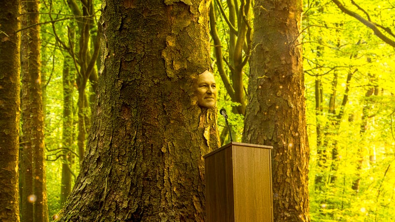 Illustration for article titled ‘Don’t Worry, I’ll Always Be Here To Fight Climate Change,’ Says Jay Inslee Before Ethereally Turning Into Majestic Oak