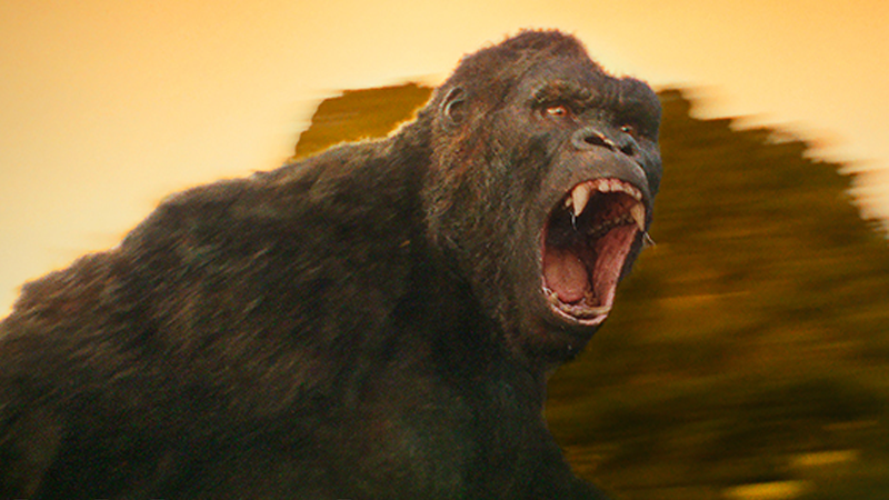 Breaking King Kong Continues To Be A Giant Gorilla