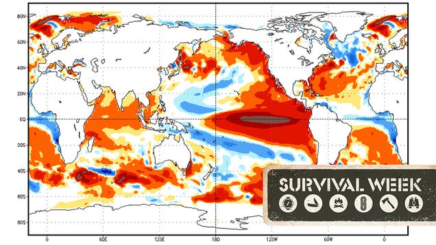 How You Should Be Preparing for El Niño