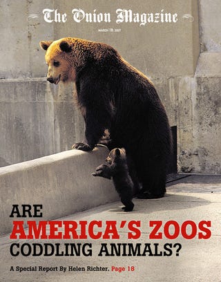 the coddling of america the coddling of america