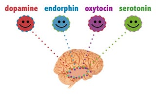 Illustration for article titled Possibly the Worst Misuse of Neuroscience Ever