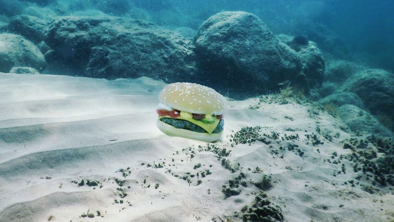 Illustration for article titled Nature Is Incredible: This Suicidal Octopus Species Can Perfectly Camouflage Itself As A Hamburger To Get Predators To Eat It Faster