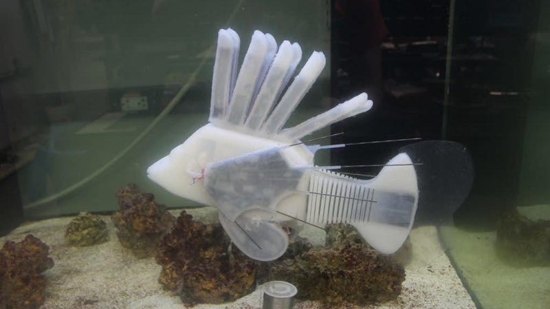 The soft robotic lionfish. The dark areas show the synthetic circulatory system. 
