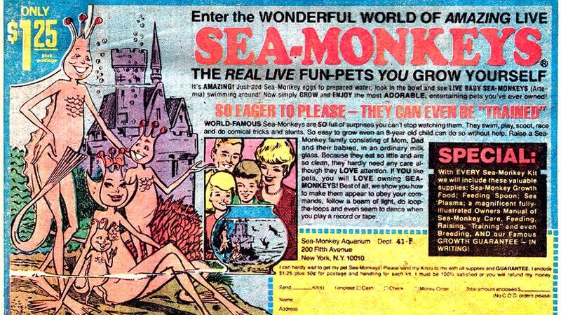 Illustration for article titled Sex With Strangers and the history of Sea-Monkeys round out this week’s coverage