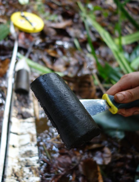 Peat in the Cuvette Central. Image: Simon Lewis
