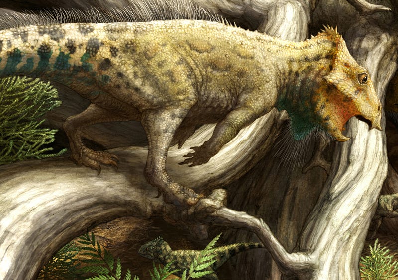 what was the first dinosaur ever discovered