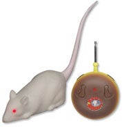 Illustration for article titled Radio Rodent: Not for the Squeamish