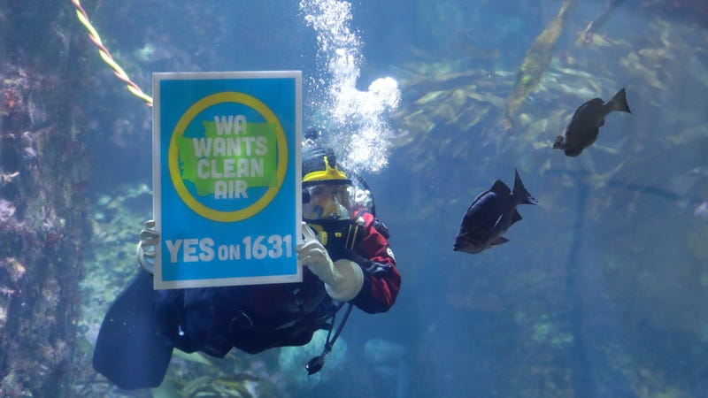 A diver at the Seattle Aquarium during an event to announce the aquarium’s endorsement of Initiative 1631.