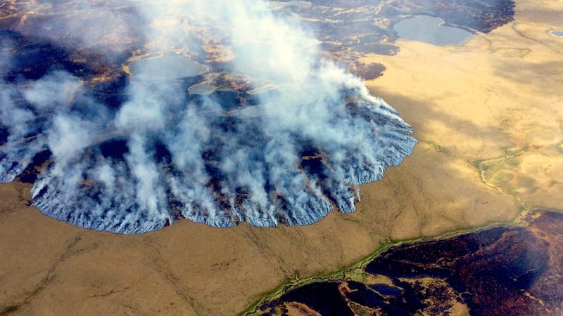 Illustration for article titled The Alaska Governor’s Proposed Budget Cuts Would Be a Disaster for U.S. Climate Research