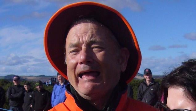 photo of Is This a Picture of Tom Hanks or Bill Murray? image