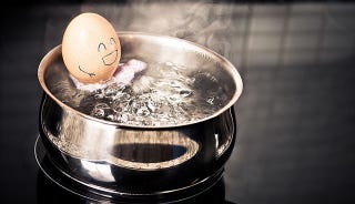 Illustration for article titled When You Overcook Eggs, You Turn Them Into Chemical Weapons