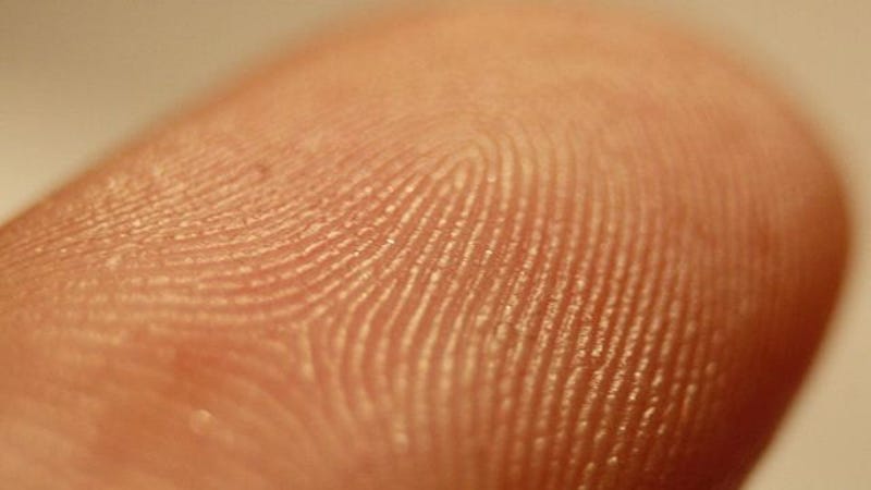 How long do fingerprints last?