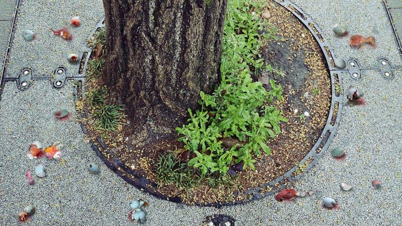 Birds all across the country are already taking advantage of the controversial new law.