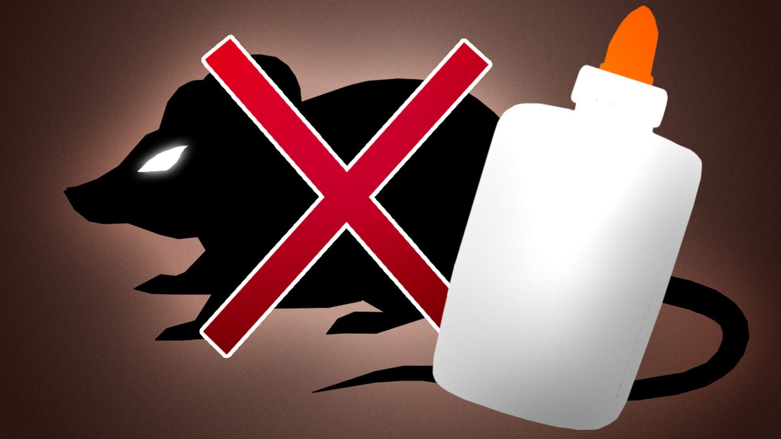 how to get rid of a mouse in your house