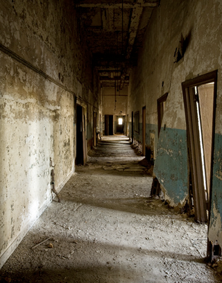 An abandoned quarantine island, in plain sight of New York City