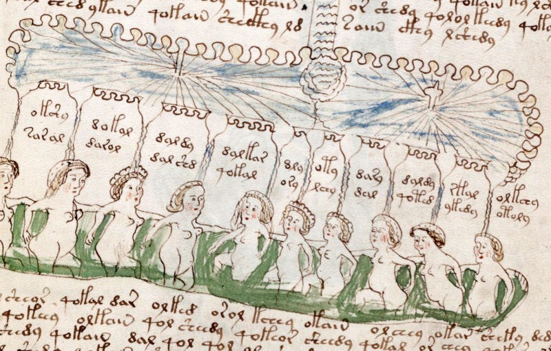 voynich manuscript pdf