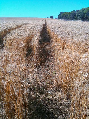 Illustration for article titled 10 Science Experiments That Looked Like the End of the World