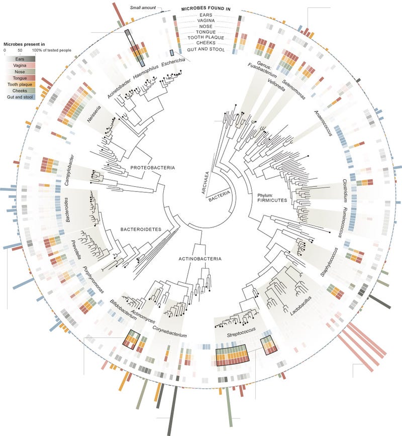 10 Ways the Human Microbiome Project Could Change the Future of Science ...