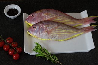 Illustration for article titled Buy Fresh and Good Quality Salmon Fish Online
