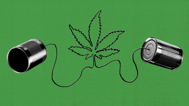 Getting High on PuffPuffChat, the Anonymous Chat Room For Stoners